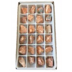 Calcite Orchid Rough Stone Box - 24 Pcs